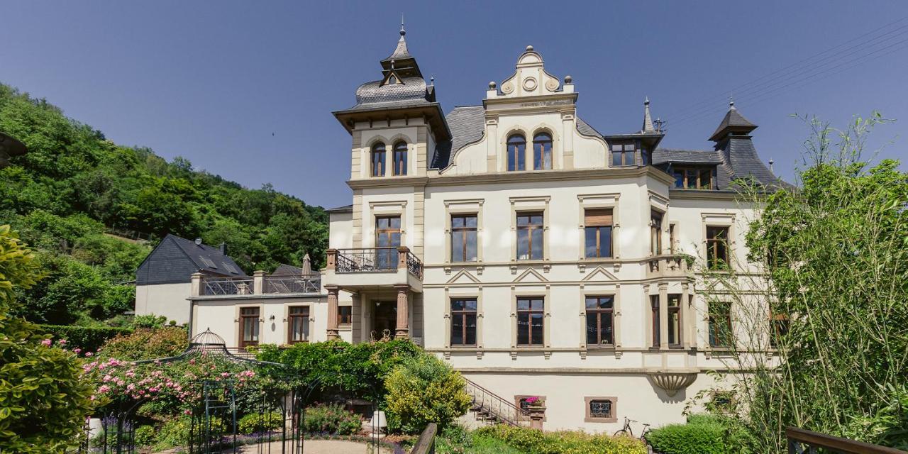 Fewo Schlossberg Weingut C.A. Haussmann Verbandsgemeinde Verbandsgemeinde Traben-Trarbach Buitenkant foto